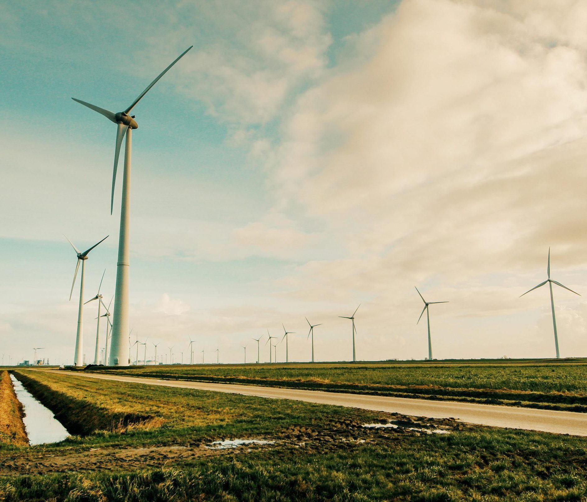 Des éoliennes dans un paysage ouvert et verdoyant